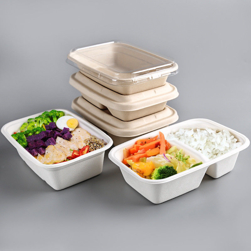 100% Compostable Food Container